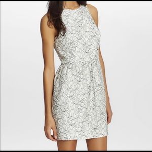 Cynthia Steffe White Lace Dress